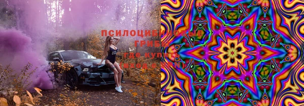 герыч Новозыбков