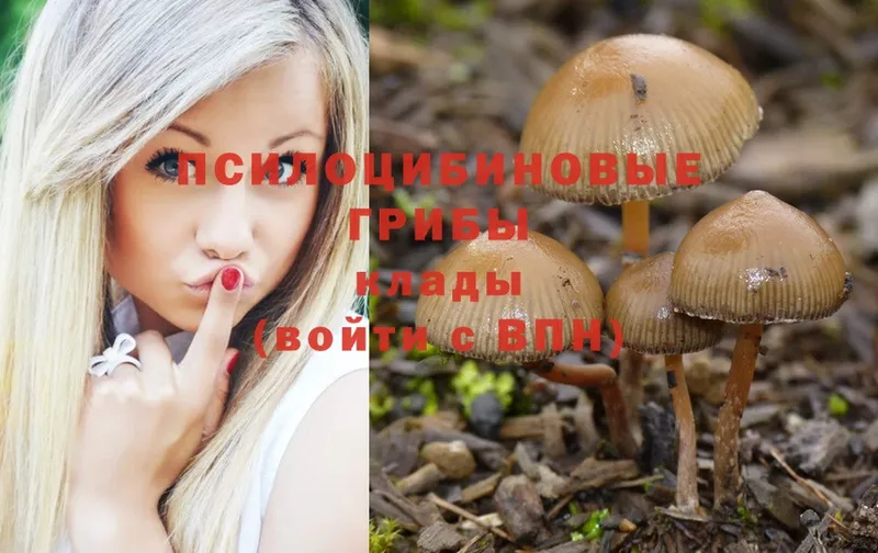 Галлюциногенные грибы Magic Shrooms  Ковдор 